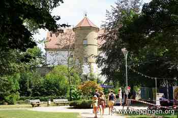 ▷ Gemminger Parkfest - Eppingen.org