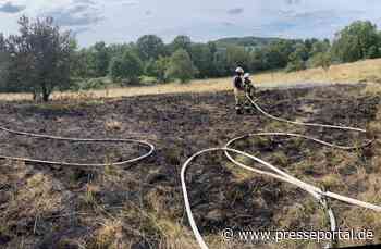 FW Bad Honnef: Wiese stand in Flammen