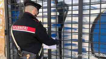 Chiusi due bar a Mozzo e Seriate dopo risse, presenza pregiudicati e norme violate - IL GIORNO