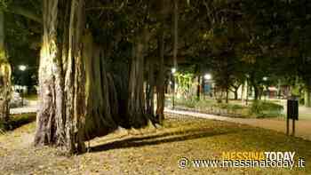 Messina senza "radici", solo 6,4 metri quadrati di verde a testa per combattere caldo e inquinamento - MessinaToday