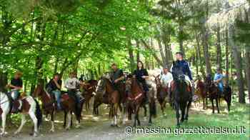 Messina, sotto gli alberi per sognare - Gazzetta del Sud - Edizione Messina