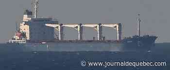 Le premier chargement de céréales ukrainiennes a atteint les côtes turques