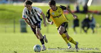 On-target Lambton Jaffas wary of Cooks Hill - Newcastle Herald