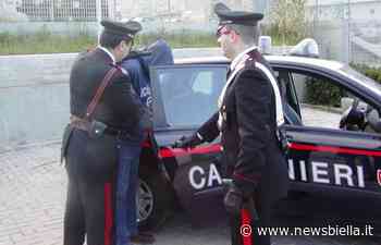 Piromane arrestato dai Carabinieri di Valle Mosso, ora è in carcere - newsbiella.it