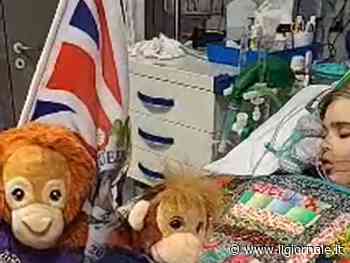 Fallito il tentativo di salvare Archie: "Sospenderanno le cure"