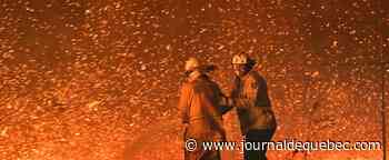 Le monde ne se prépare pas suffisamment au pire, avertissent des scientifiques