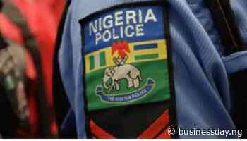 One killed as hoodlums attack Police checkpoint in Delta - Businessday