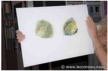 IMPRESSIONI DI SENO: A GRAVEDONA UNA MOSTRA “FUORI DAGLI SCHEMI” - Lecconews