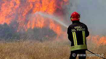 Lecco, allarme incendi: il sindaco vieta barbecue e falò - IL GIORNO