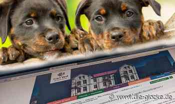 Digitalisierung in Verl: „Wir machen 80 Prozent selbst“ - Die Glocke