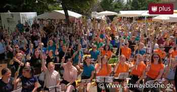 Musik und Spaß beim Juka-Festival in Bad Wurzach - Schwäbische