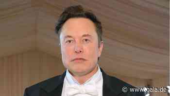 Elon Musk: "Sehr kräftig gebaut" – Vater Erroll lässt kein gutes Haar an ihm - Gala.de