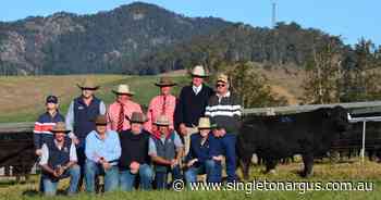 Knowla Livestock sells top Angus bull for $190,000 to Sprys and Cottage Creek studs - The Singleton Argus