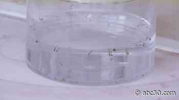 1st human West Nile Virus case confirmed in Kings County, health officials say