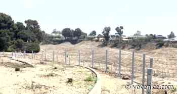 Federal Funds Approved for New Potrero Canyon Park Trail - yovenice