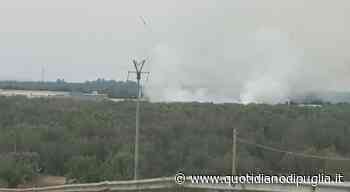 Manduria, incendio all'impianto di compostaggio: nella notte la messa in sicurezza - quotidianodipuglia.it