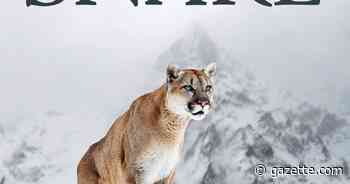 Manitou Springs author releases 'Snarl,' a novel about animal redemption - Colorado Springs Gazette