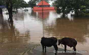Relief camps opened as water levels rise in Periyar, Muvattupuzha Rivers - The Hindu