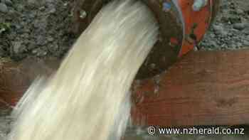 A faecal matter: Christchurch rivers polluted by dog faeces, dissolved copper, zinc - New Zealand Herald