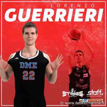 Ufficiale, i Mantova Stings firmano l'ala-centro under Lorenzo Guerrieri - Serie A2 - Basketmarche.it