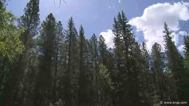 New Mexico forester lifts restrictions as fire danger eases