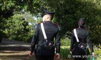 Sestu, va a cercare asparagi ma trova 4 fucili: erano stati rubati e nascosti - YouTG.net