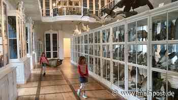 Oliver Wings ist neuer Leiter des Naturkunde-Museums Bamberg - Main-Post