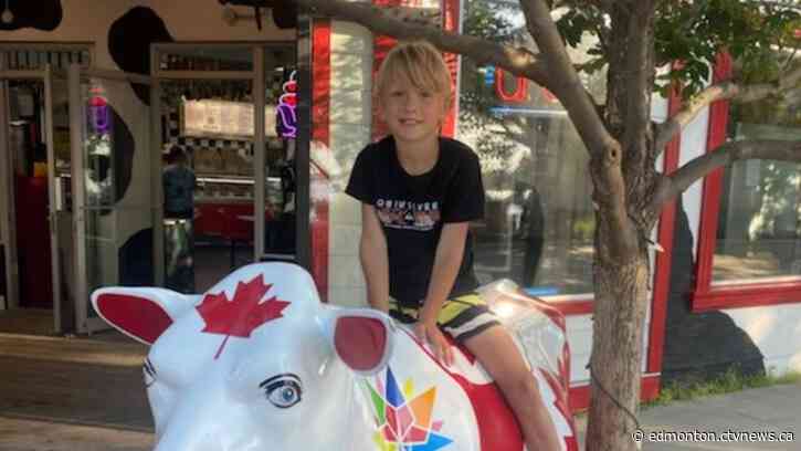 Boy, 7, attacked by cougar in central Alberta