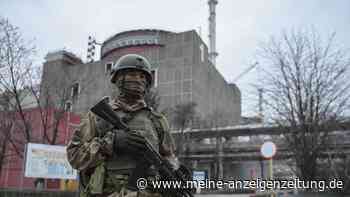 Russland soll größtes AKW Europas als Schutzschild nutzen - Ukraine meldet Gebietsgewinne in Cherson