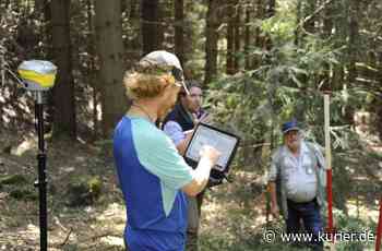 Den Forst unter die Lupe nehmen - Jetzt läuft die Inventur im Wald - Nordbayerischer Kurier