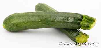 Tipp vom AELF Coburg-Kulmbach: Zucchiniernte kreativ verarbeiten - Der Neue Wiesentbote