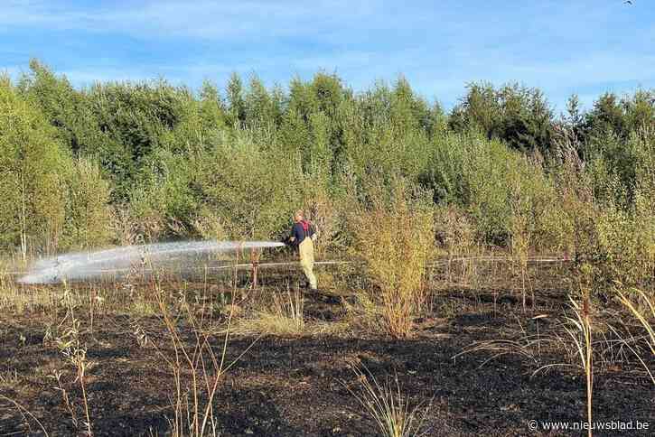 Afvalberg in brand in Rekem