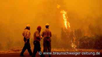 Waldbrand in Nordkalifornien wütet weiter - vier Tote