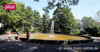 Bischofsheim: Im Gewerbe geht's voran, bei Energie gibt's zu tun - Main-Spitze