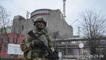 Russland soll größtes AKW Europas als Schutzschild nutzen - Ukraine meldet Gebietsgewinne in Cherson