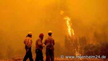 Waldbrand in Nordkalifornien wütet weiter - vier Tote