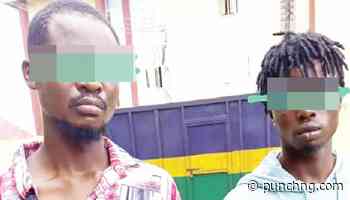 Rivers police arrest robbers who raped pregnant woman - Punch Newspapers