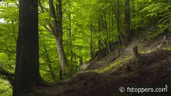 A Helpful Tip for Improving Your Landscape Photography