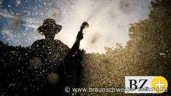 Hitze und Trockenheit – Plädoyer für schlaues Gärtnern und Gießen