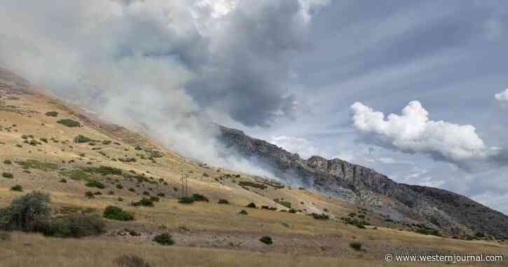 Man's Attempt to Kill Spider Sparks Wildfire
