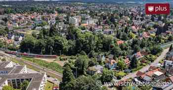 Lindau: Bürgerinitiative will Holdereggenpark erhalten - Schwäbische