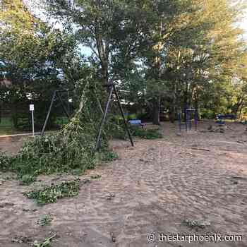 'It's grey. It's cold. It's wet': Sask. buffeted by dramatic weather