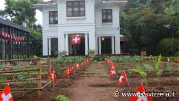 Ambasciata svizzera in Sri Lanka trasforma prato in orto - tvsvizzera.it　