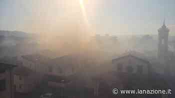 Incendio sterpaglie in piena Prato: nuvola di fumo e traffico in tilt - LA NAZIONE