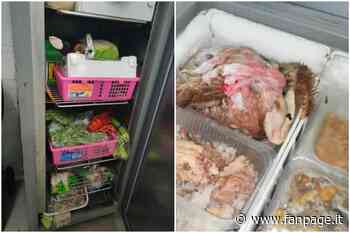 Mamma mangia ostriche, neonato in rianimazione a Prato: Nel ristorante cibi mal conservati - Fanpage.it