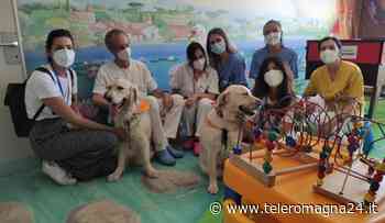 FORLI': In ospedale con i 'dog-tori', i cani a sostegno dei bimbi ricoverati in pediatria - Teleromagna24