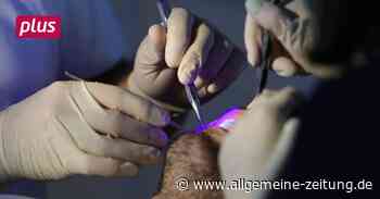 Mainzer betrügt Zahnarzt: Bewährungsstrafe - Allgemeine Zeitung