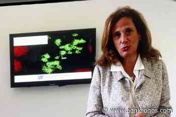 Vaiolo delle scimmie, Capua: "Diffusione inattesa e preoccupante" - Adnkronos