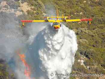 Il bosco brucia e il vento alimenta le fiamme - Qui News Valdichiana