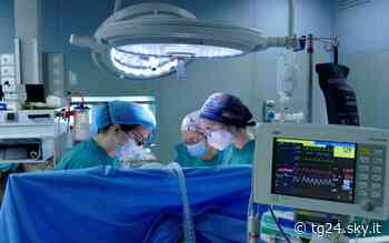 Ultracentenaria colpita da ictus, salvata dall’Ospedale di Parma - Sky Tg24